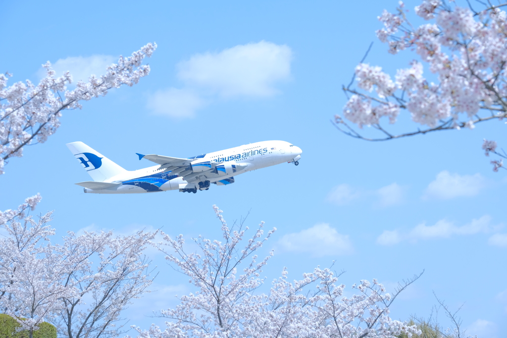 さくらの丘公園②