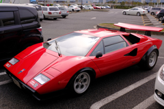 Wolf Countach