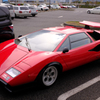 Wolf Countach