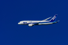 787