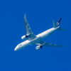 ANAの787 STAR ALLIANCE