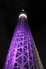 雅