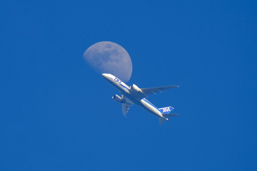 浦安の空