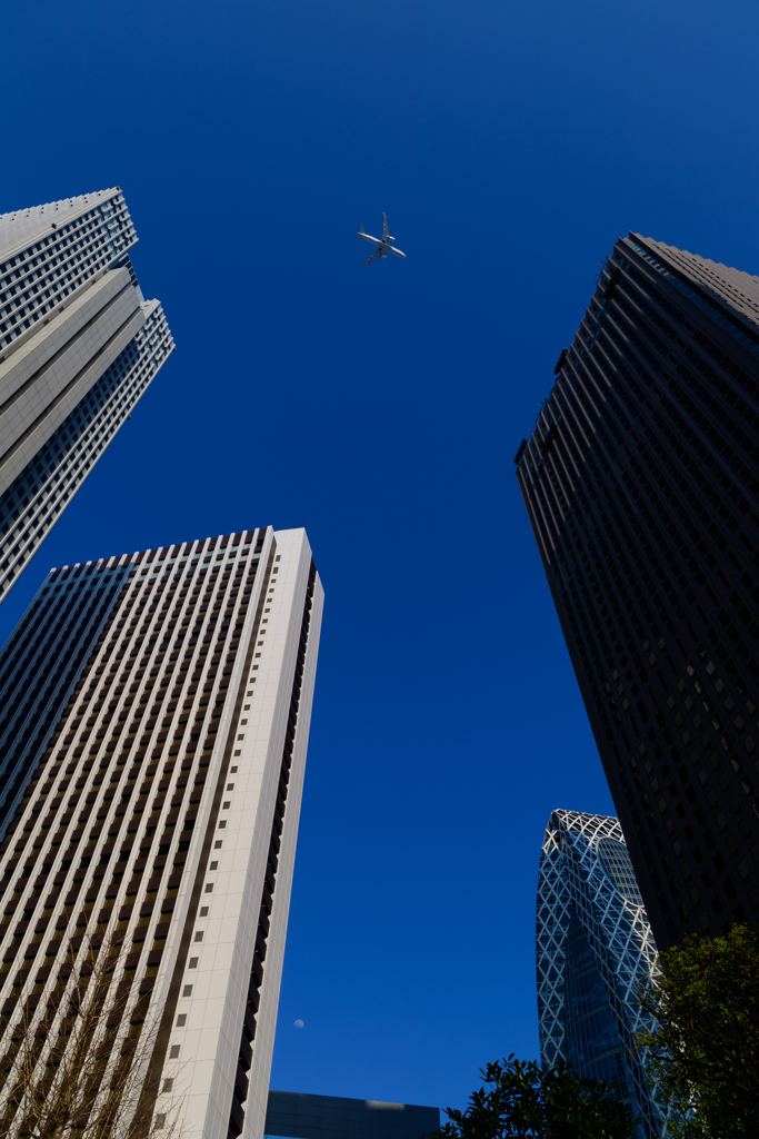 ビルの隙間から