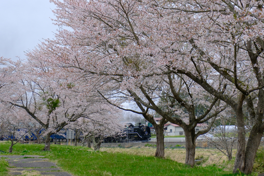 SL銀河（新花巻-小山田）