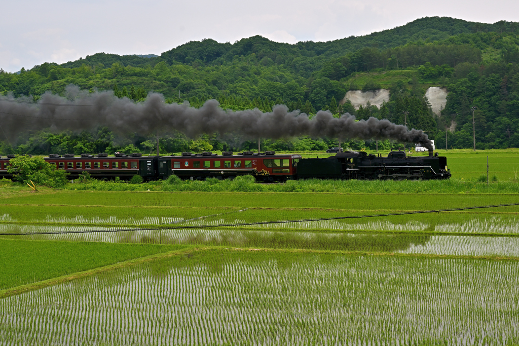 田園