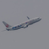 白い空（JA342J）