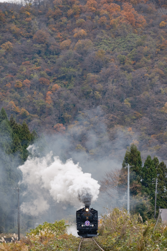 磐越西線（東下条–五十島）