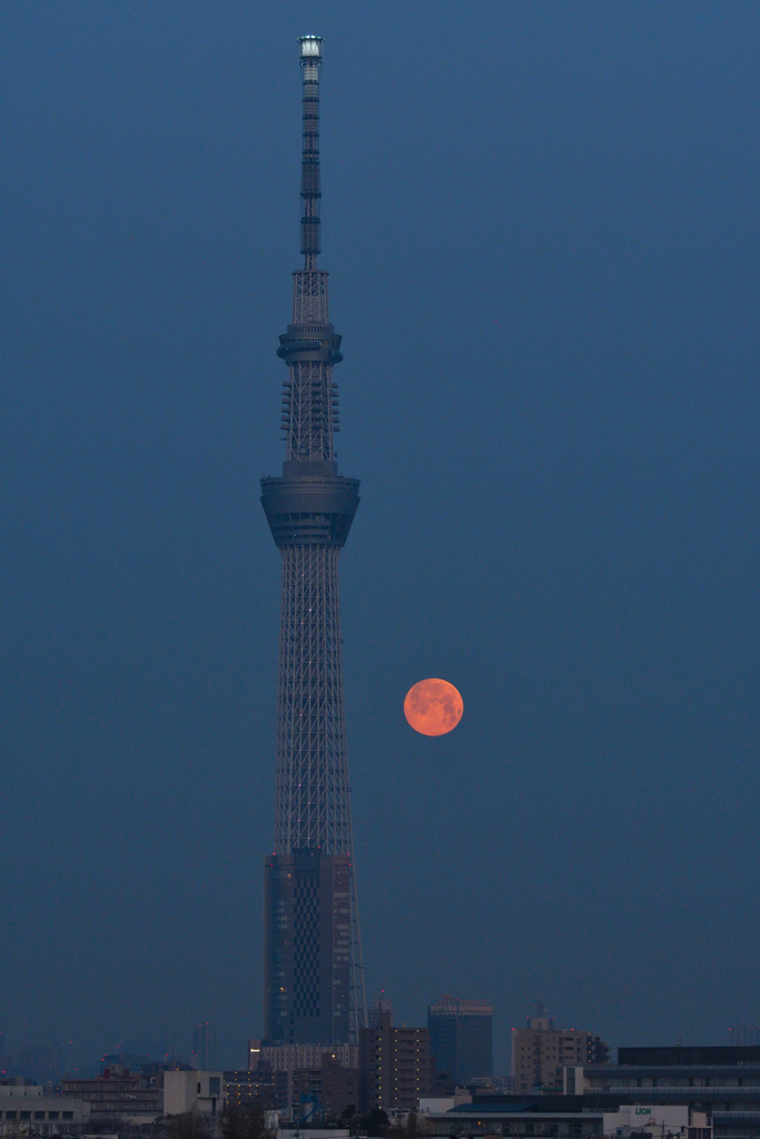 夜明け前の満月