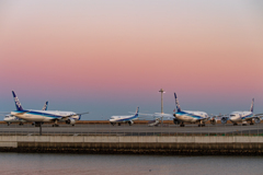 飛べない787