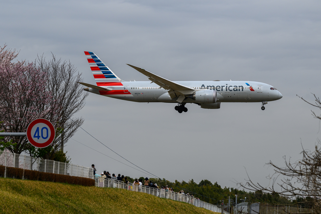 American Airline(N807AA)