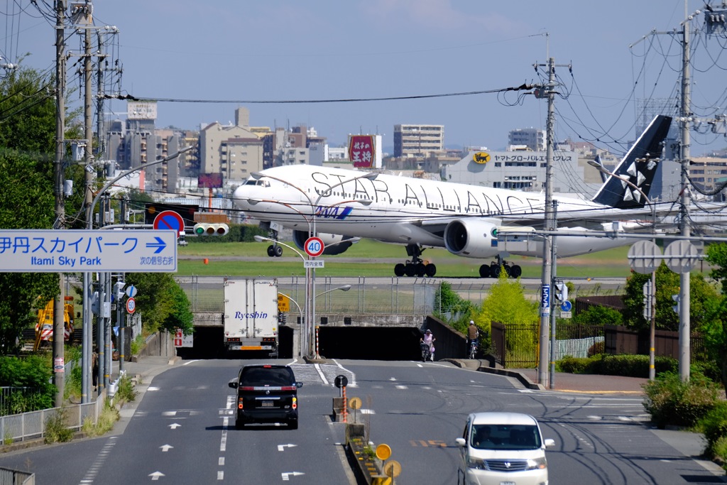 これが撮りたくて