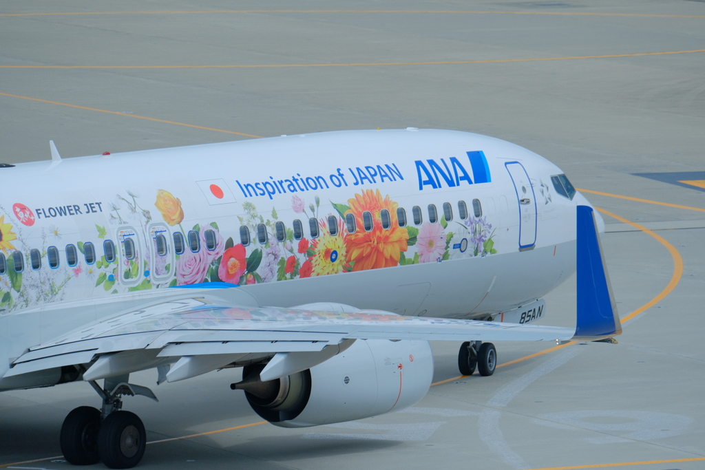 東北FROWER JET