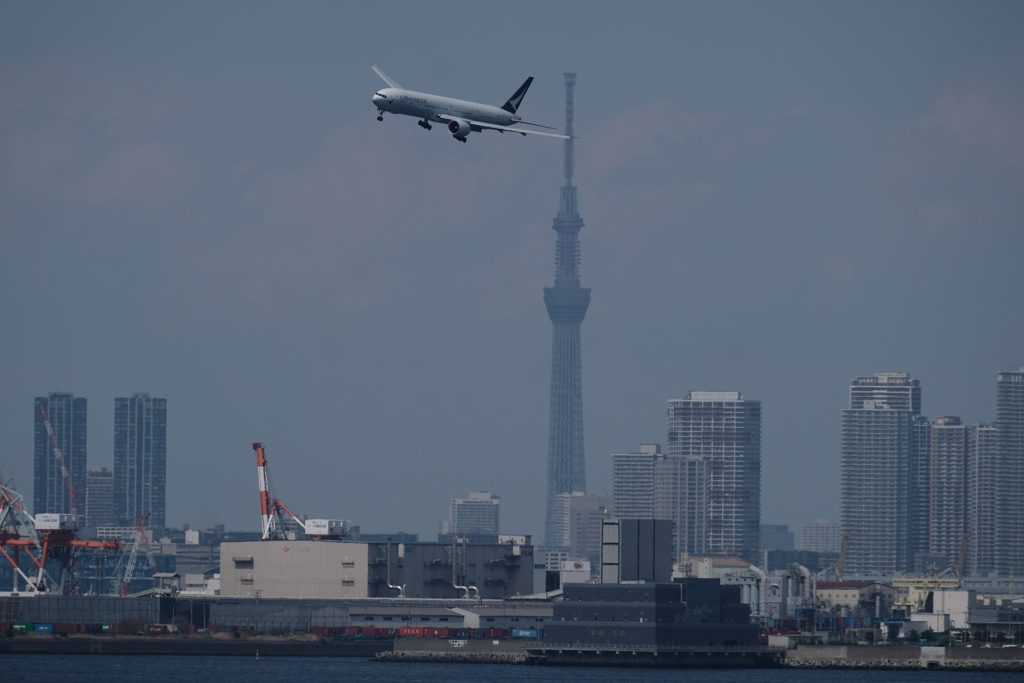 捻り