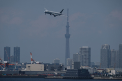 捻り