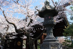 靖国神社（神門）