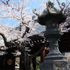 靖国神社（神門）