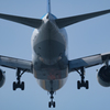 Landing
