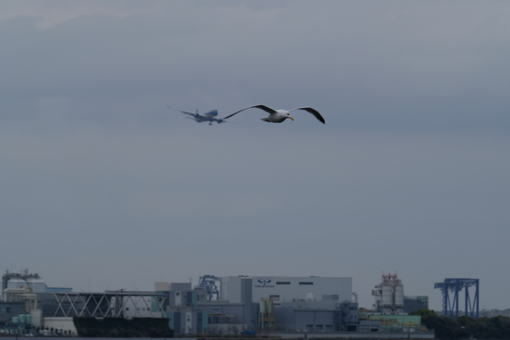 割込み