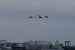 割込み