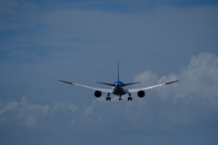 夏の空
