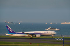 海が賑やか