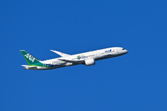 Green Jet(JA871A)