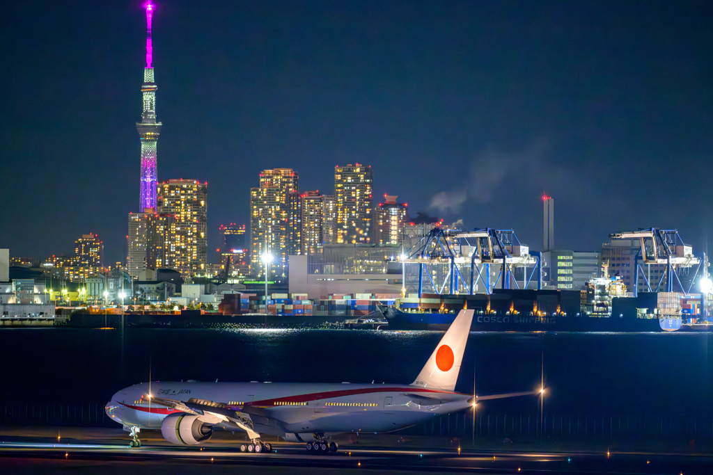 シゲル到着
