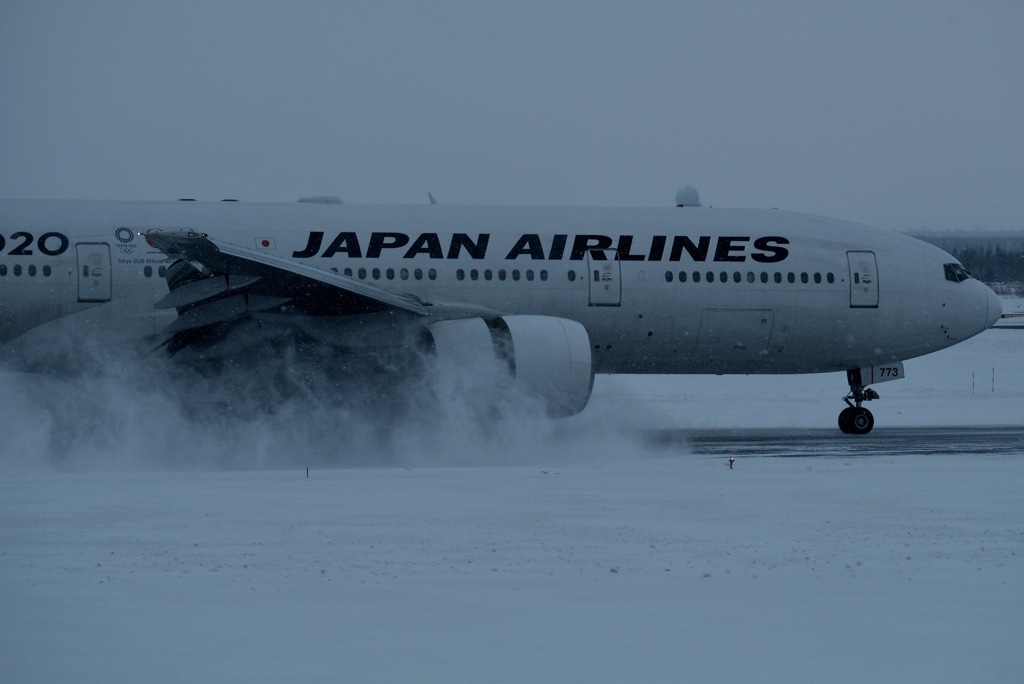 雪は絵になる