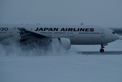雪は絵になる