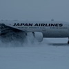 雪は絵になる