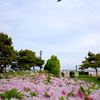 つつじと767