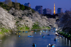 2018年の千鳥ヶ淵