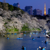 2018年の千鳥ヶ淵