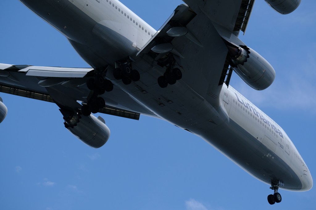 ジャンボを切取る②