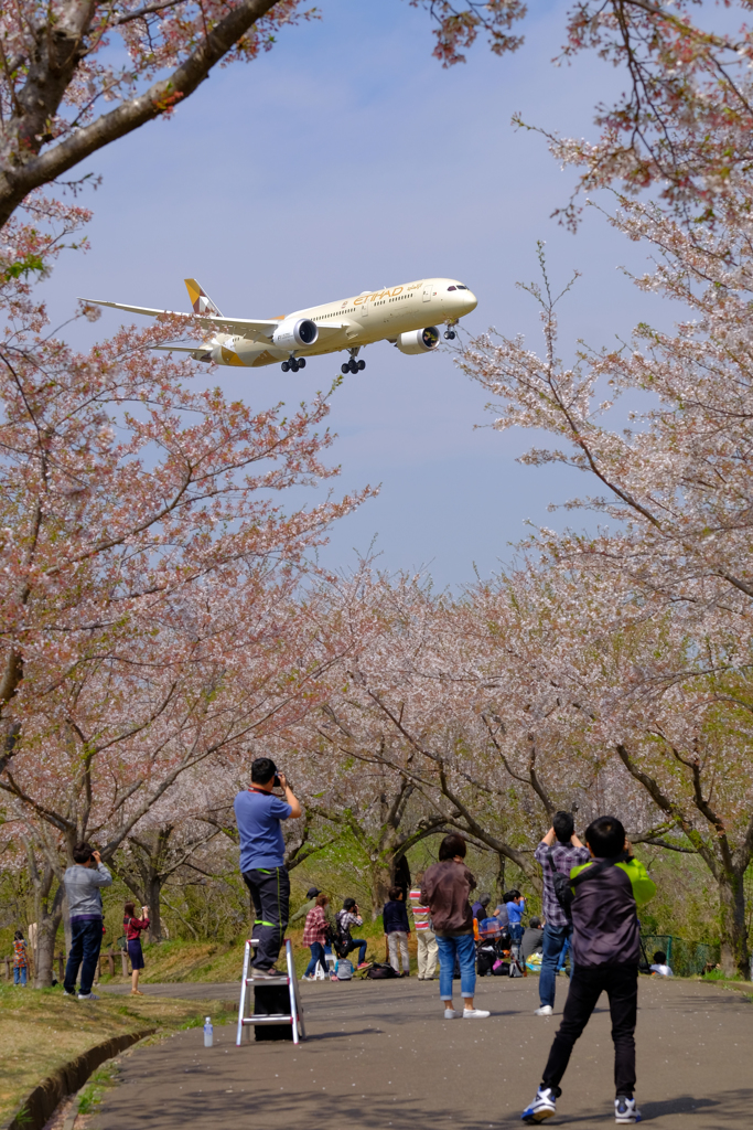 さくらの山公園