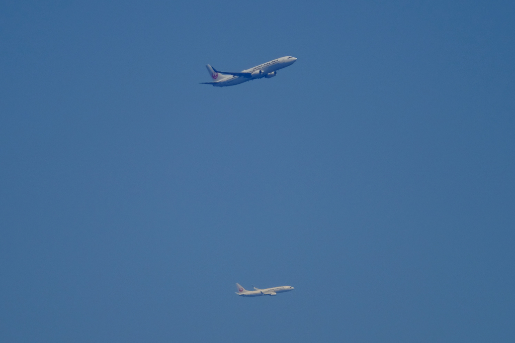 JAL737×２