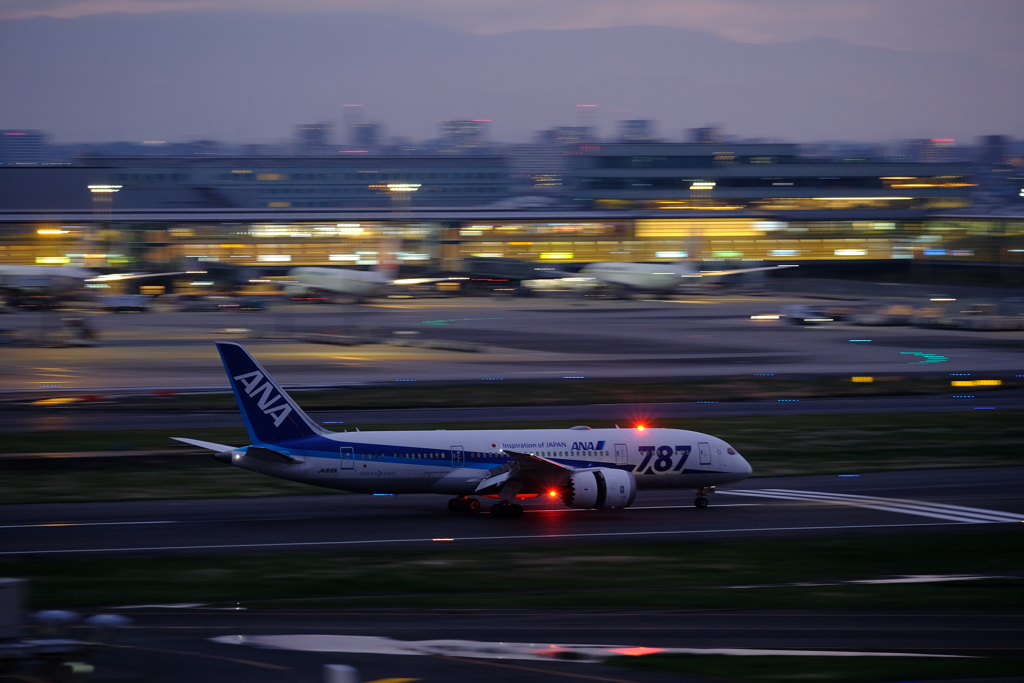 787 landing