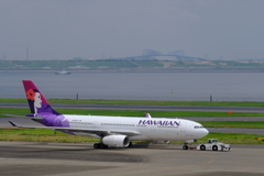 お騒がせしました ｍ（_ _）ｍ