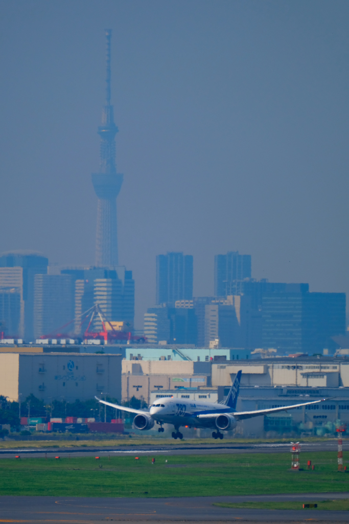 国際ターミナルから