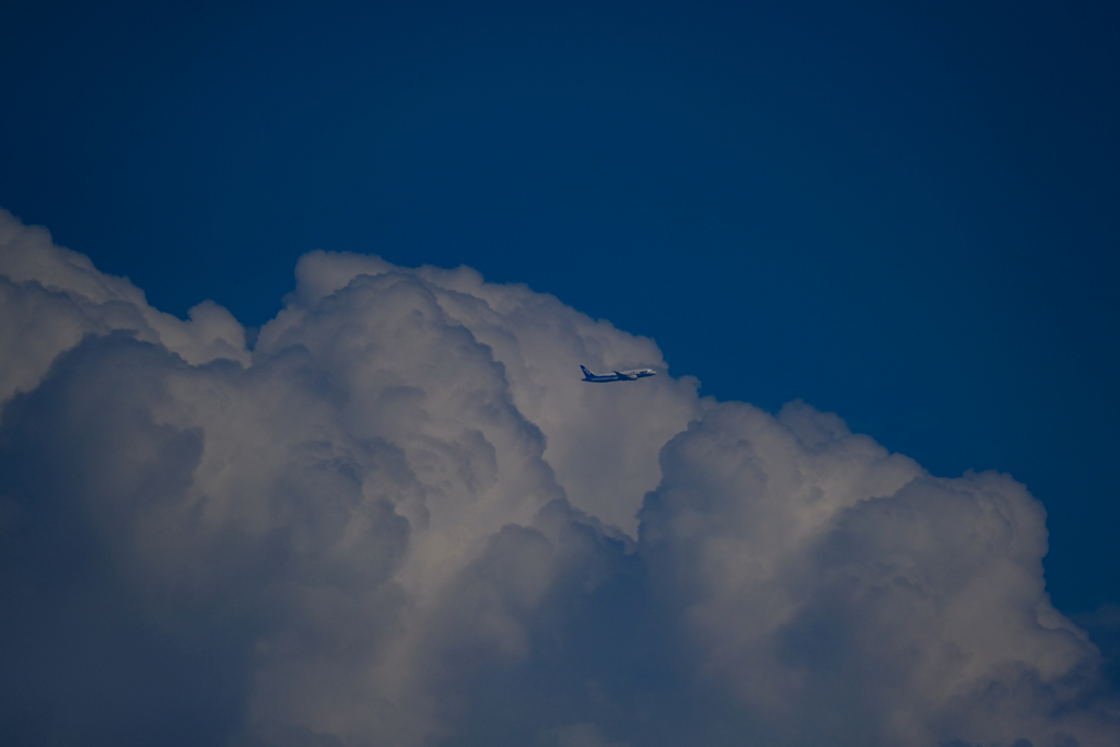 夏の空②