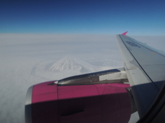 桃から・・