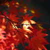 紅葉　3