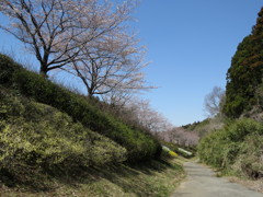 Stairway To Heaven、天使の森へ