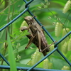 あんた、しっかり掴まってんだよ