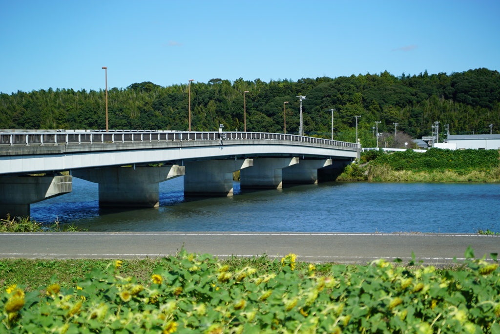 佐倉ふるさと広場２