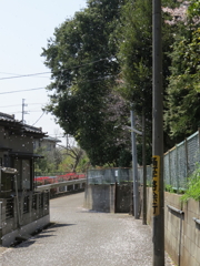 晴れときどき花吹雪 晴れときどき花吹雪