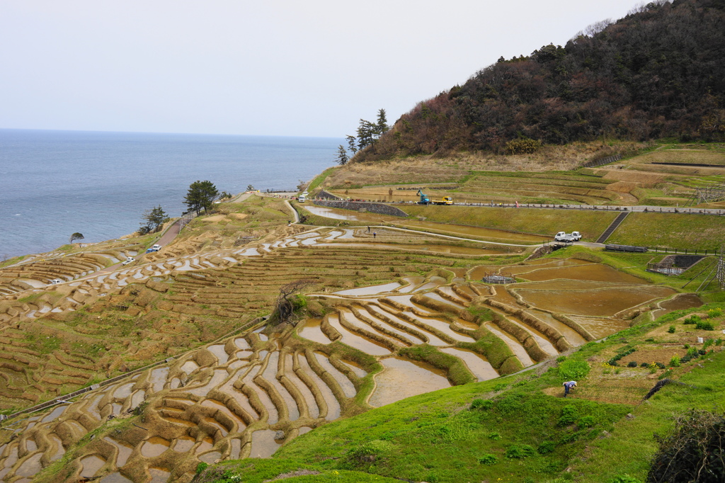 能登　白米千枚田　1