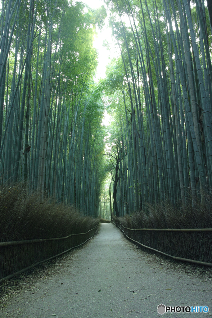 静かな朝