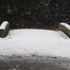 雪橋